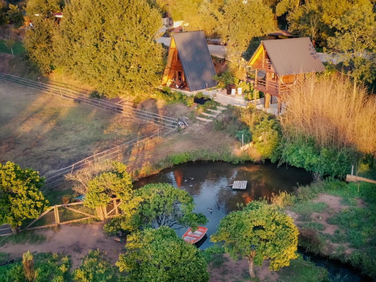 Casa Da Avó - Vale da Silva Villas Albergaria-a-Velha Esterno foto