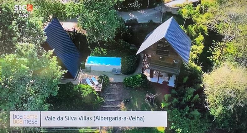 Casa Da Avó - Vale da Silva Villas Albergaria-a-Velha Esterno foto